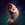 Mind_Flayer_Tadpole_(creature)