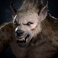 Portrait Gnoll.png