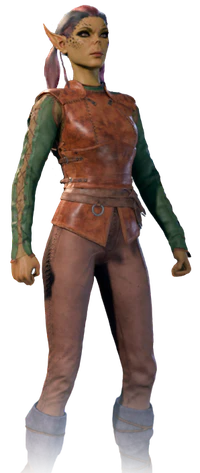 Ranger's default armour