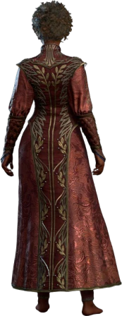 Shelter of Athkatla Human Back