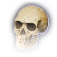 Skull A Icon.webp
