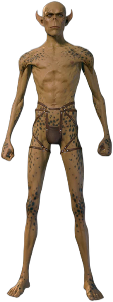 Underwear Githyanki Front