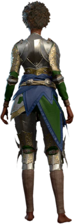 Plate Armour Human Back