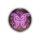Faerie Fire Condition Icon.png