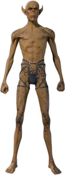 Githyanki Male Front