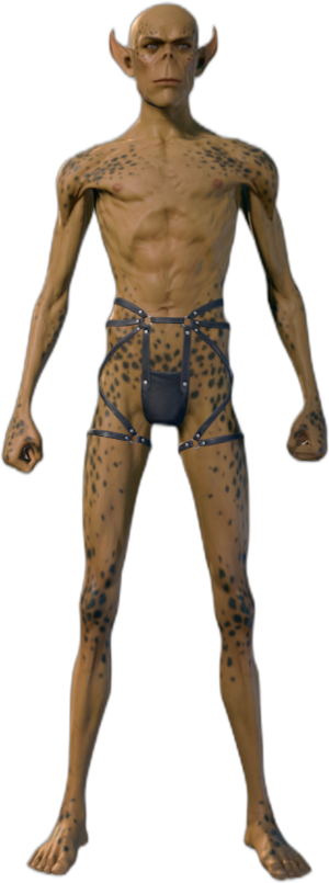 Underwear Githyanki B 1.png