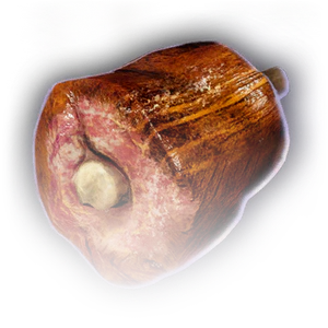 Grilled Pork Leg image