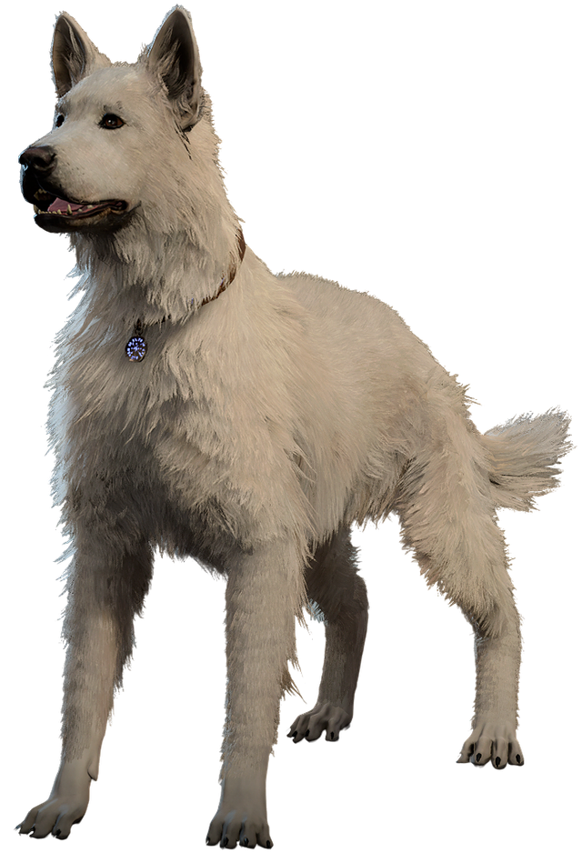 Dog - bg3.wiki