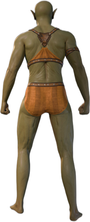 Underwear Half-Orc B 4.png