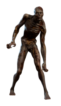 Zombie Model.png