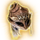 Helmet of Arcane Acuity Unfaded Icon.png