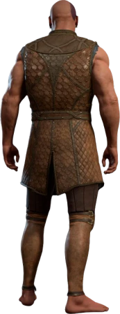 Leather Armour Minsc Back