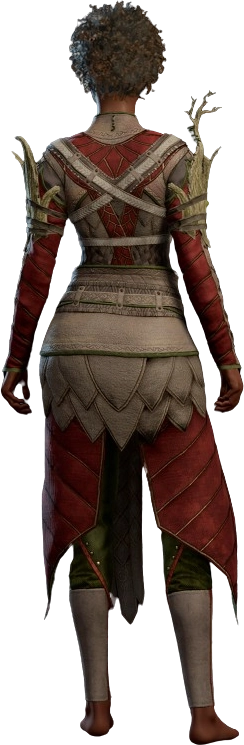 Druid Leather Armour Red Human Back Model.webp