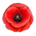 Thumbnail for version as of 20:36, 8 April 2025
