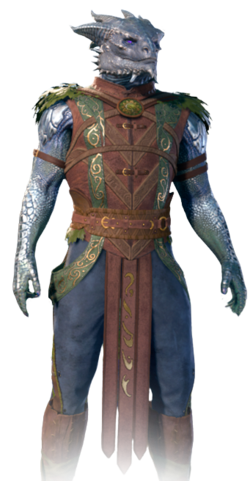 Druid's default armour