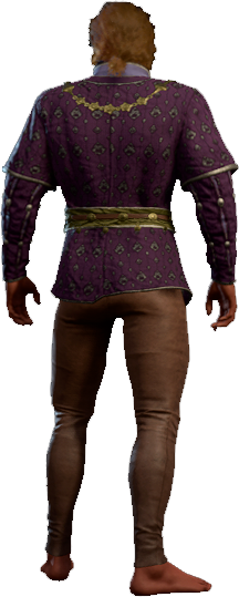 Splendid Purple Outfit High Elf Body4 Back Model.webp