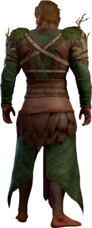 Druid Leather Armour High Elf Back