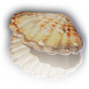 Clamshell image