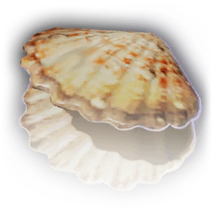 Clamshell image
