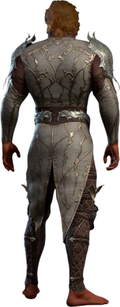 Elven Chain High Elf Back