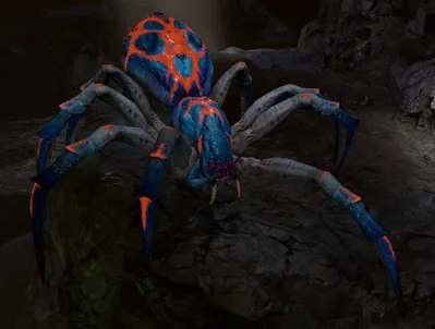Carte Phase Spider Matriarch
