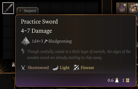 The Practise Sword doesn't have an image in the tooltip.