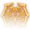 Aura of Devotion Icon.png