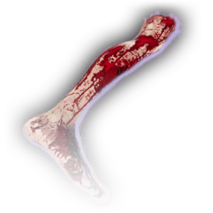 Severed Leg A Faded.png