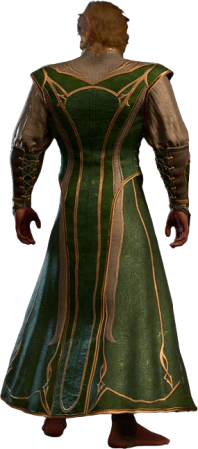 Robe of Supreme Defences Half-Elf Back