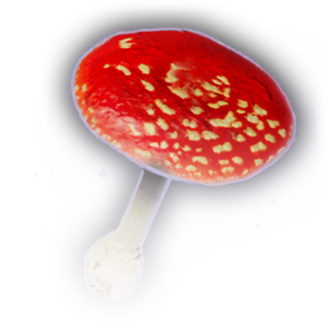 Blushcap Mushroom image