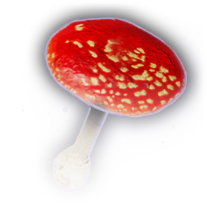 Blushcap Mushroom image