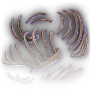 Bones image