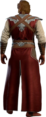 Sorcerer Robe Half-Elf Back