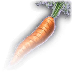 FOOD Carrot Faded.png