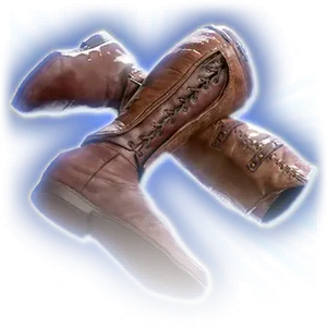 Briskwind Boots image