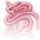 Natures Wrath Icon.png