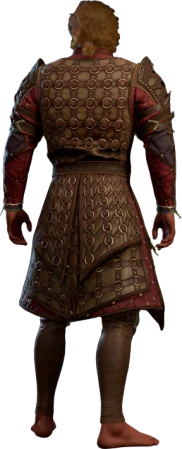 Ring Mail Armour +2 High Elf Back