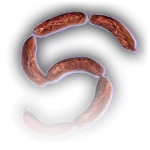 Dried Sausage Links image