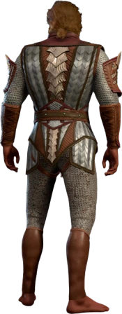 Scale Mail +1 High Elf Back