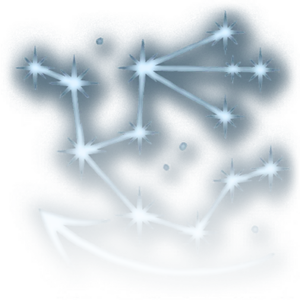 Fly starry form.webp