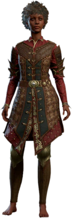 Ring Mail Armour +1 Human Front