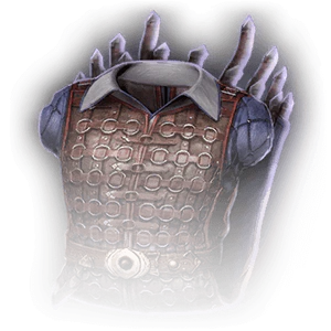 Ring Mail Armour image