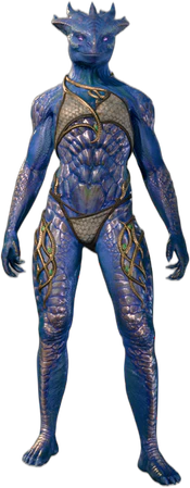 Bronze Underwear Dragonborn Front