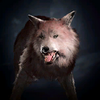Icon Wolf.png