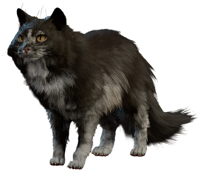 File:Barsik Model.png