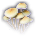 Thumbnail for version as of 09:48, 26 September 2026