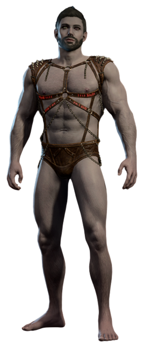 Incubus Underwear Male Front.png