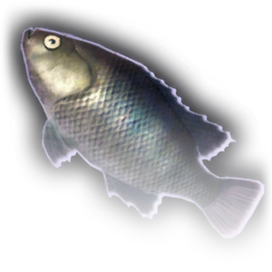 FOOD Fish C Faded.png