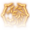 Aura of Courage Icon.png