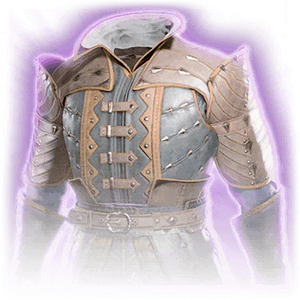 Elegant Studded Leather image